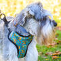 Squirrel Suprise Adjustable Dog Harness, thumbnail 12 of 12