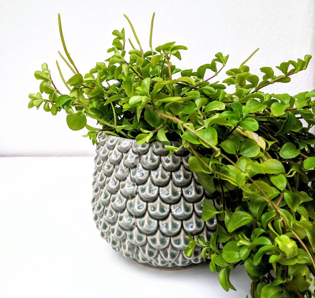 textured plant pot in green by peastyle