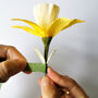 Paper Flower Craft Kit: Daffodils, thumbnail 5 of 8