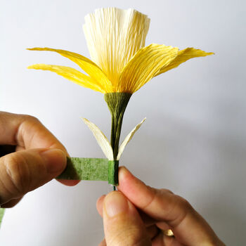 Paper Flower Craft Kit: Daffodils, 5 of 8