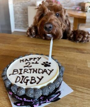 Personalised Carob 'Pawty' Birthday Cake For Dogs, 3 of 3