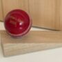 Personalised Full Size Cricket Ball Doorstop, thumbnail 5 of 6