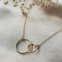 Gold Filled Interlocking Circle Family Connection Necklace, thumbnail 7 of 9
