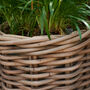 Woven Round Rattan Planter, thumbnail 4 of 8