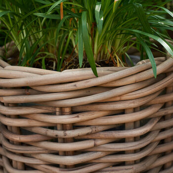 Woven Round Rattan Planter, 4 of 8