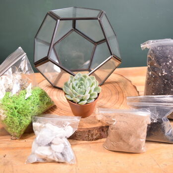 Black Geometric Terrarium Kit With Succulent Or Cactus, 4 of 10