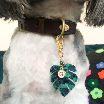 Puppies And Piña Coladas Personalised Dog Collar Charm, 3 of 4