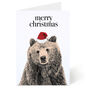 Animal Christmas Card Set Of Twelve, thumbnail 6 of 12