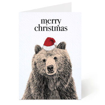 Animal Christmas Card Set Of Twelve, 6 of 12