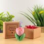 Thank You For Helping Me Grow Tiny Little Gifts, thumbnail 2 of 2