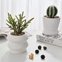 Set Of Two Artificial Plants With Ceramic Plant Pots, thumbnail 1 of 3