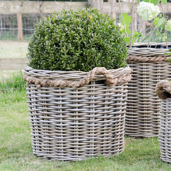 Round Rattan Lined Planter With Rope Handle, 4 of 4