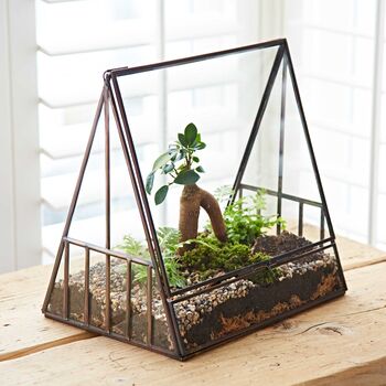Large Recycled Glass Greenhouse Succulent Terrarium, 2 of 6