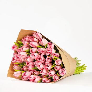 Cotton Candy Pink Fringe Tulip Fresh Flower Bouquet, 2 of 2