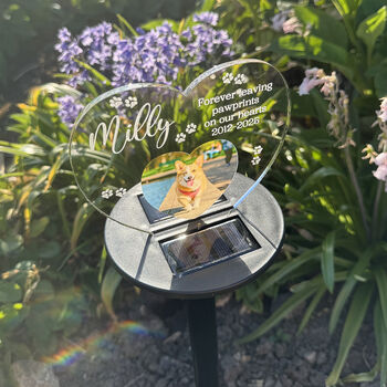 Pet Photo Memorial Colour Changing Solar Garden Light, 4 of 7