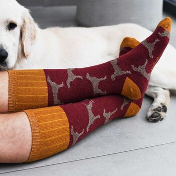 Soft Lambswool Knee Socks For Men, 2 of 12