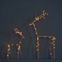 Christmas Deer With Lights, thumbnail 3 of 3