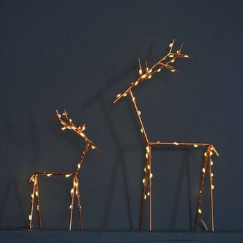 Christmas Deer With Lights, 3 of 3