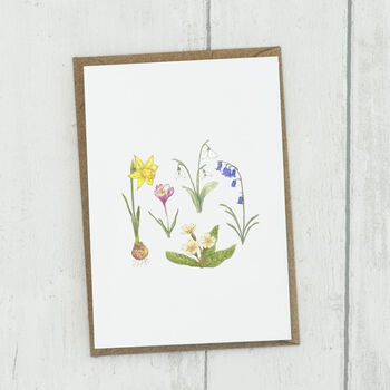 Spring Flowers Blank Card, 3 of 4