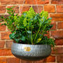 Barberry Vintage Hanging Planters Set Of Three, thumbnail 1 of 3