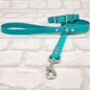 Waterproof Dog Collar And Lead Set Teal, thumbnail 1 of 3