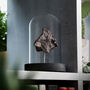 Chondrite Meteorite Real Authentic Space Meteor Fragment Bell Jar, thumbnail 2 of 5