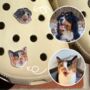 Personalised Illustrated Pet Portrait Shoe Charms, thumbnail 1 of 6