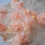 Cornflower Fairy Lights, thumbnail 2 of 8