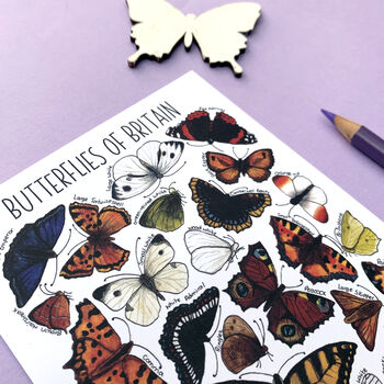 Butterflies Of Britain Illustrated Postcard, 7 of 10