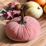 Autumn And Halloween Decor 15cm Velvet Pumpkins Free Lights, thumbnail 9 of 10