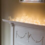Coco Fairy Lights, thumbnail 3 of 7