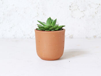 Terracotta Plant Pots Set Of Three U Curved, 2 of 6