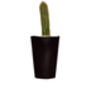 Concrete Pot Tall With Cactus/ Succulent In Black, thumbnail 2 of 3