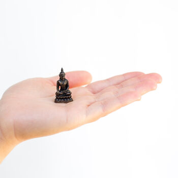 Mini Buddha With Appache Blessing, 4 of 5