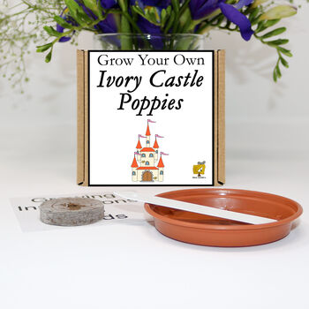 Gardening Gift. Grow Your Own Ivory Castle Poppies Kit, 2 of 6