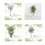 Large Artificial Faux Plant Fake Plastic Tree, thumbnail 9 of 10