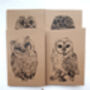 A5 Owl Notebook In A Choice Of Plain Or Lined Paper, thumbnail 5 of 12