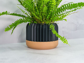Carbon Trilinear Planter, 3 of 4