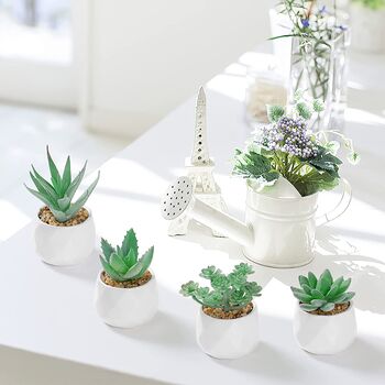 Five Mini Artificial Succulent Plants In White Pots, 3 of 11