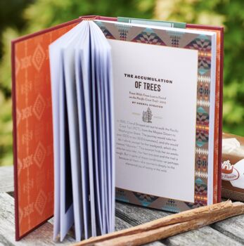 Campfire Book And Firelighters Gift Set, 4 of 5