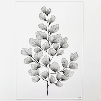 Fern Original Botanical Illustration, 2 of 5