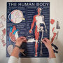 The Human Body Wooden Jigsaw Puzzle, thumbnail 1 of 8