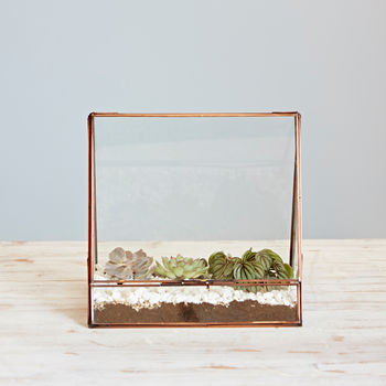 Large Recycled Glass Greenhouse Succulent Terrarium, 5 of 6
