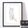 Personalised Pet Portrait Drawings, thumbnail 2 of 10