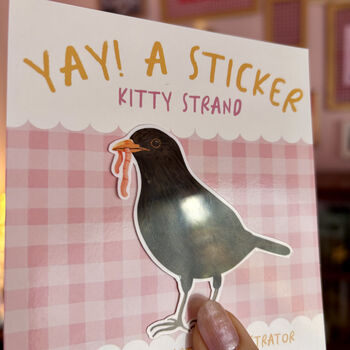 Garden Bird Sticker, Gift Set. Of Three Vinyl Stickers, 11 of 11