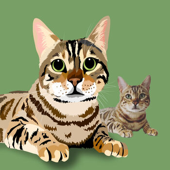 Personalised Pet Portrait Digital Illustration, 5 of 12