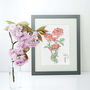 Hand Illustrated Watercolour Birth Flower Name Print, thumbnail 6 of 12