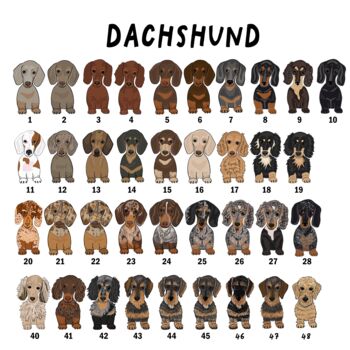 Personalised Dachshund Christmas Jumper, 3 of 4