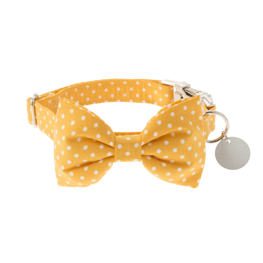 buttercup yellow polka dot bow tie dog collar by dober & dasch