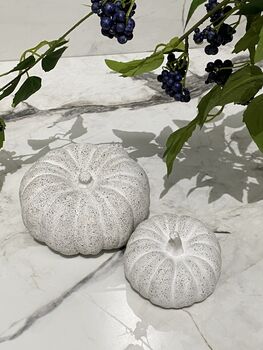 Set Of Three Handmade Stone Pumpkins, 10 of 12